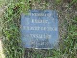 image of grave number 98641